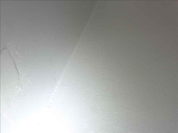 A-damp_p1150155.jpg