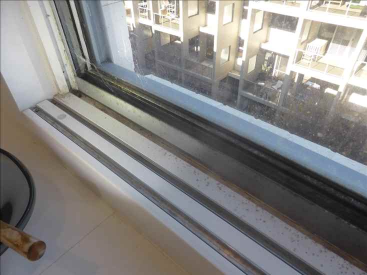 A-windows_p1150141.jpg