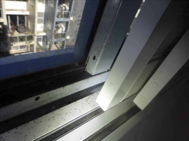 A-windows_p1150142.jpg