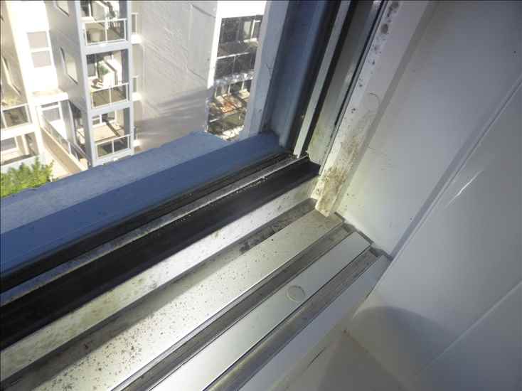 A-windows_p1150143.jpg