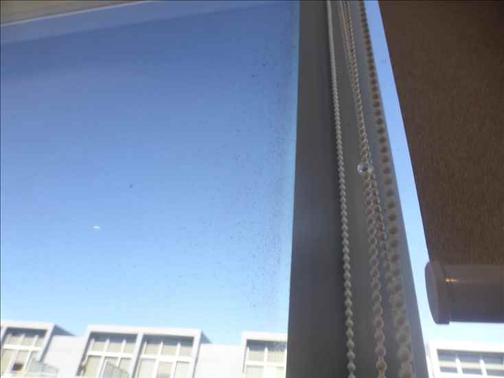 A-windows_p1150169.jpg