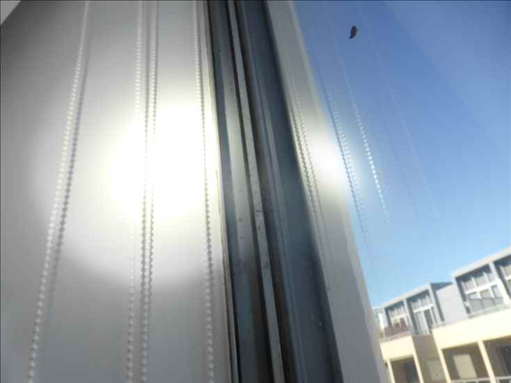 A-windows_p1150170.jpg