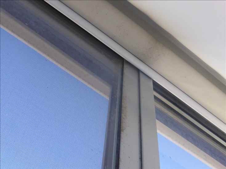 A-windows_p1150181.jpg