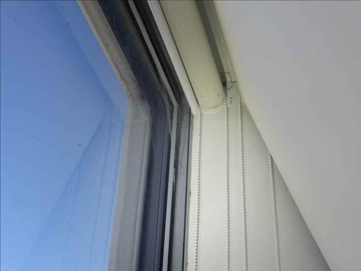 A-windows_p1150182.jpg