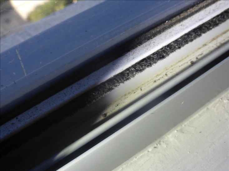 A-windows_p1150183.jpg