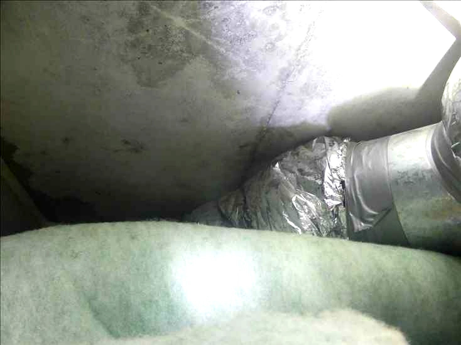 Appendix_Fig1_ceiling-void.jpg