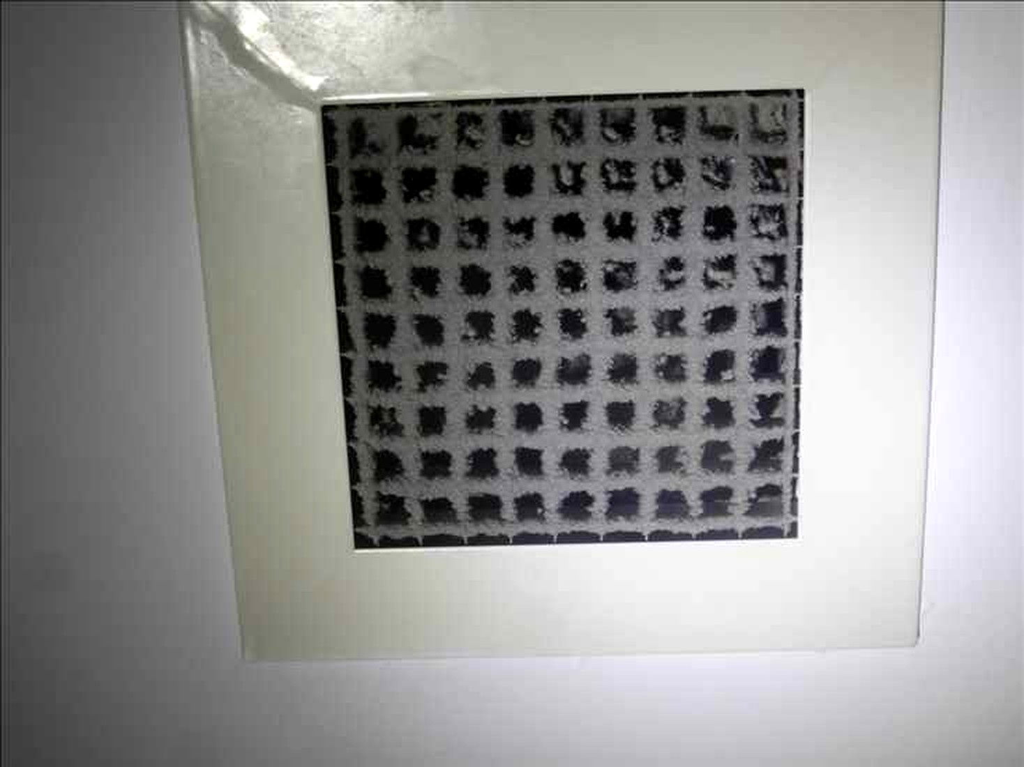 Appendix_Fig3_grille-B.jpg